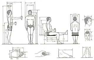 Medición Nutricional Antropométrica